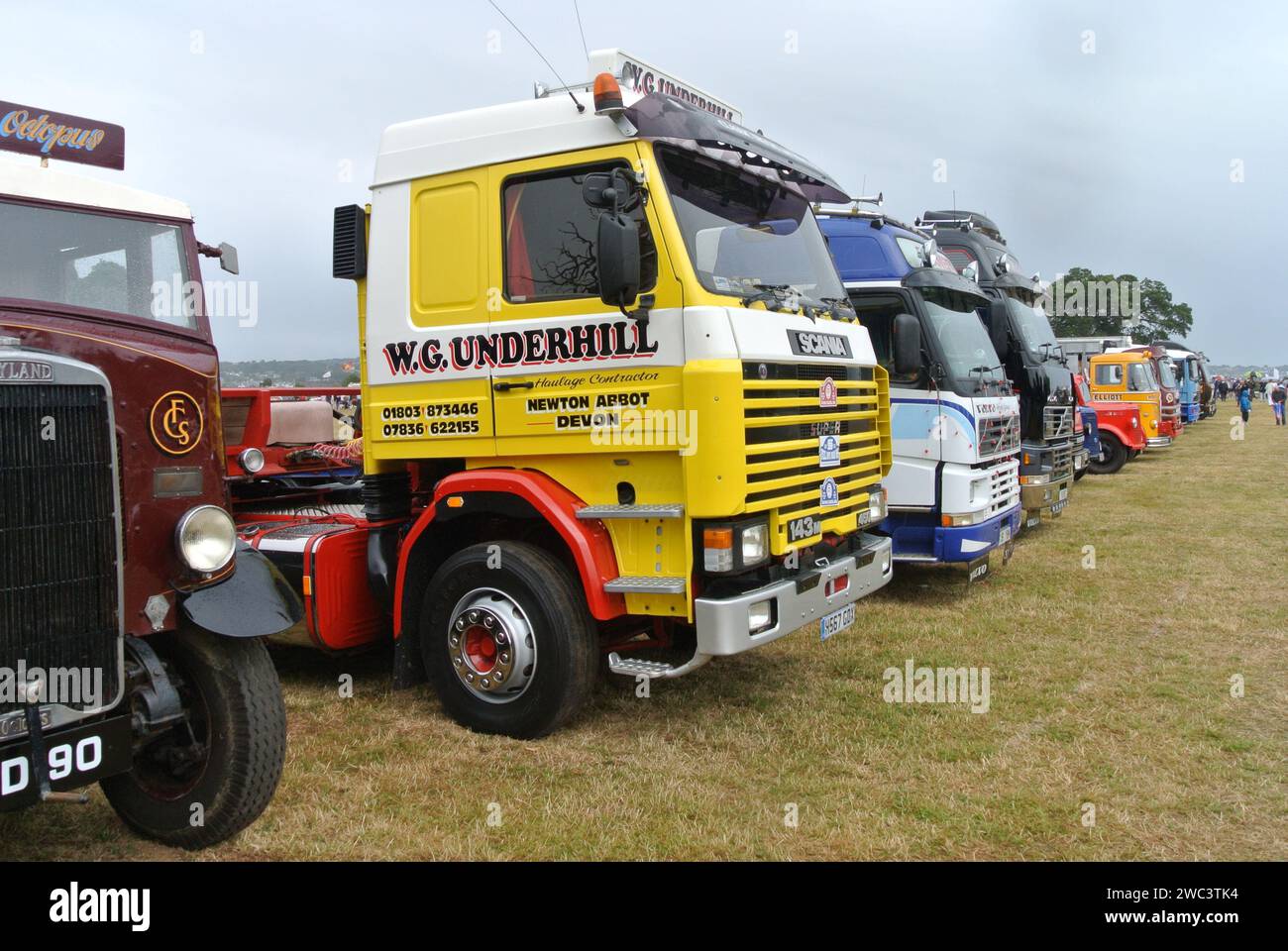 A line of classic commercial lorries parked on display at the 48th Historic Vehicle Gathering classic car show, Powderham, Devon, England, UK. Stock Photo