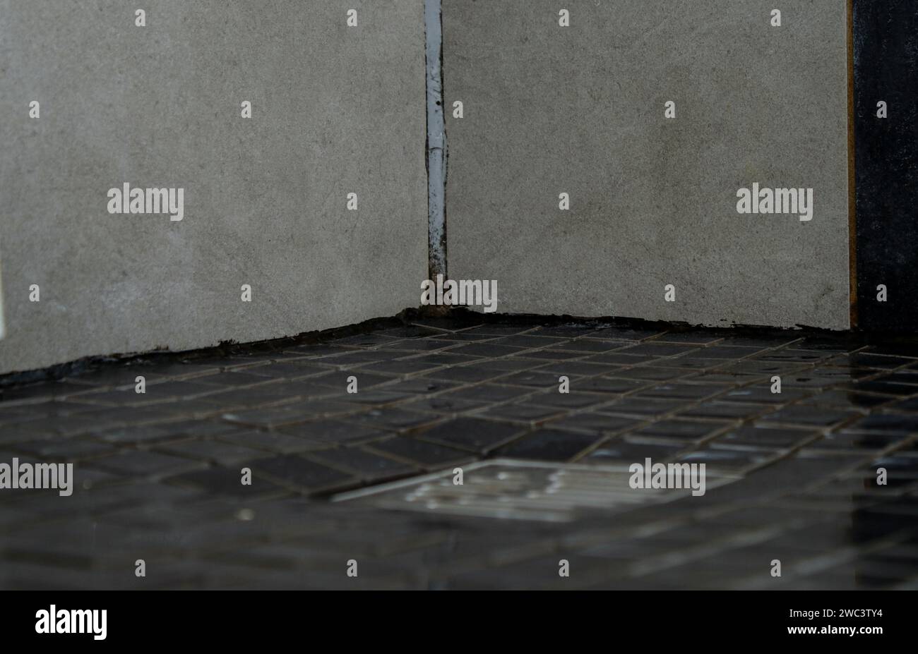 Grey dirty tiles with mold in a bathroom Stock Photo