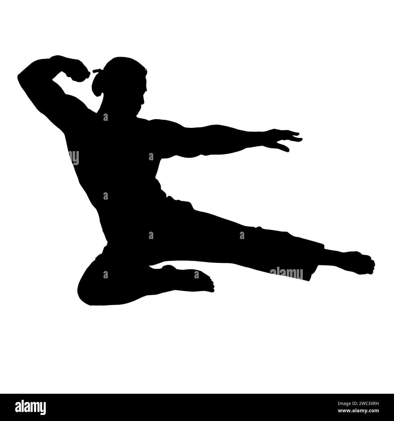 kung fu martial arts fighter jump kick silhouette illustration Stock Vector
