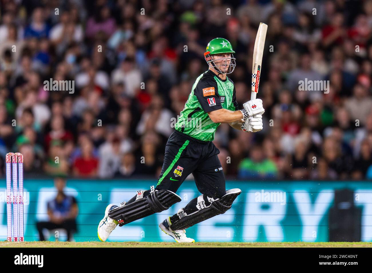 Melbourne, Australia, 13 January, 2024. Melbourne Stars player Hilton