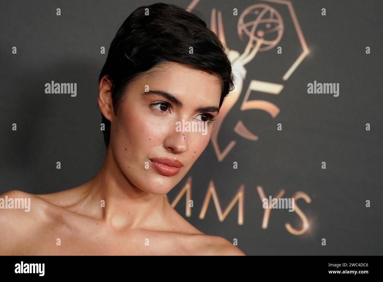 Patricia Manfield attends the 75th Emmy Awards Performers Nominee