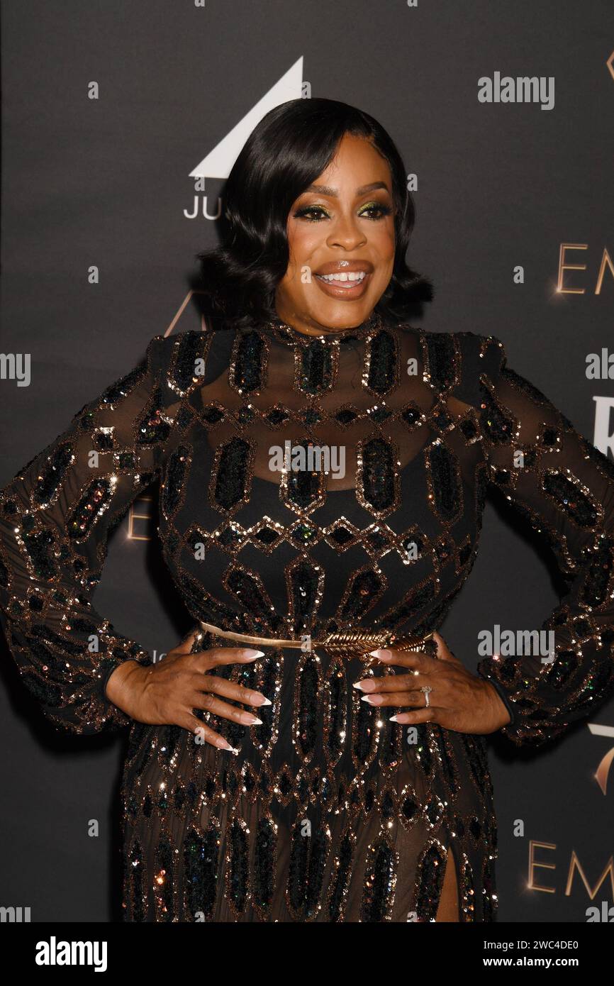 Los Angeles, Ca. 13th Jan, 2024. Niecy Nash at the 2024 Performer