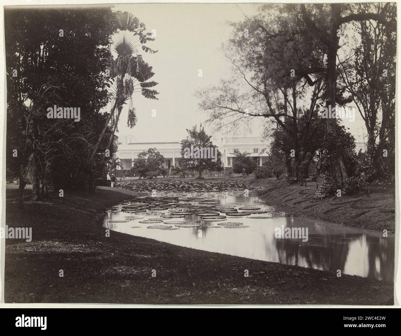 Gouverneurspaleis with pond in Buitenzorg, West -Java, Anonymous, 1870 - 1900 photograph  Indonesia paper albumen print palace. garden pond Palace of the Governor General Stock Photo