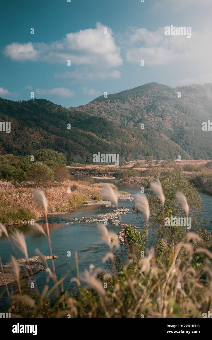 Beautiful Scenery of Hozugawa River in Kyoto, Japan Stock Photo - Alamy