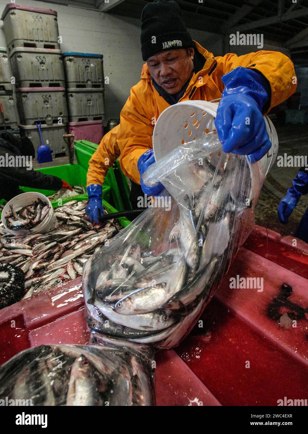 Treateds hires stock photography and images Alamy