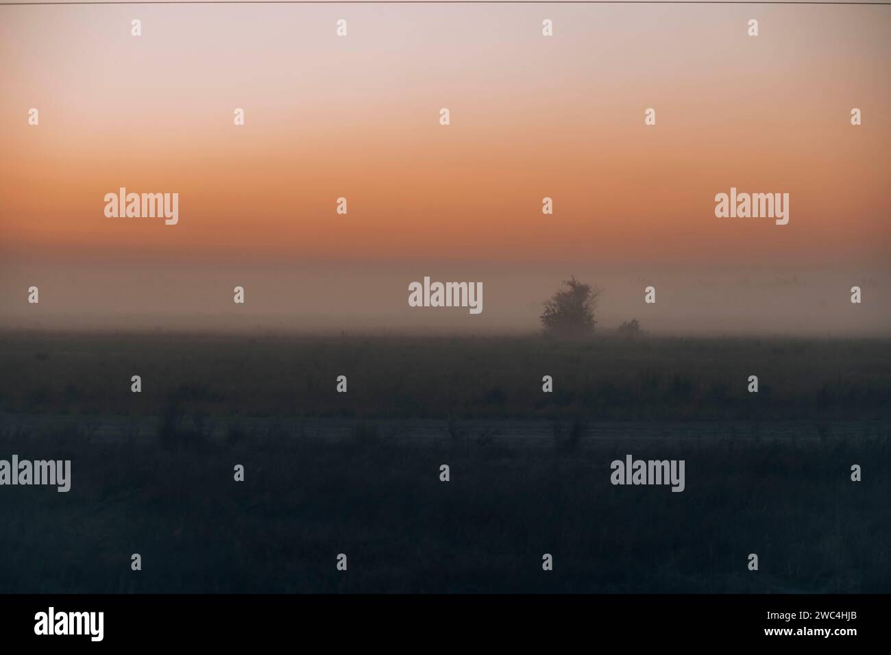 Field Light Rays Hazy sun rays in hi-res stock photography and images - Alamy