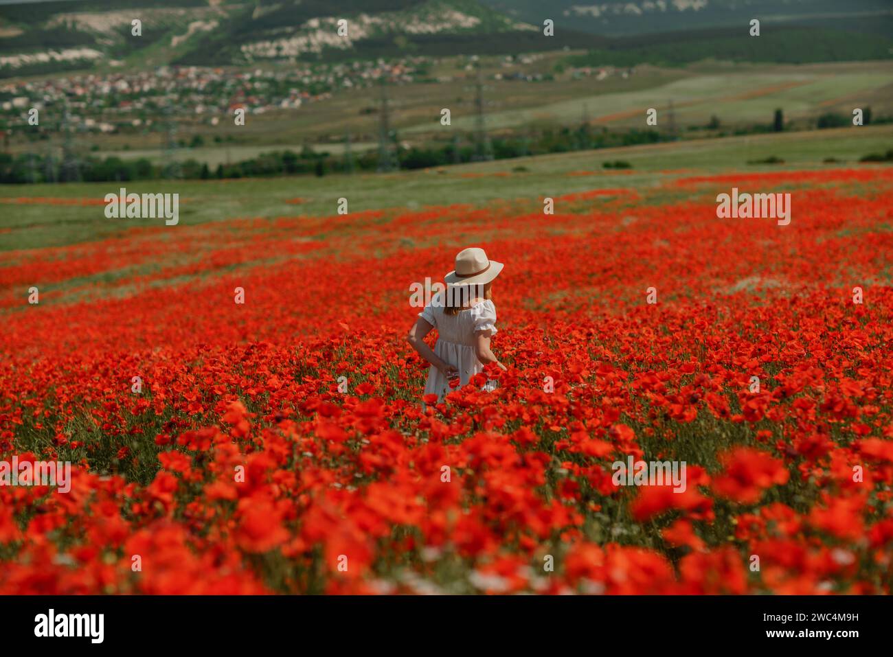 Field poppies woman. Happy woman in a white dress and hat stand with ...