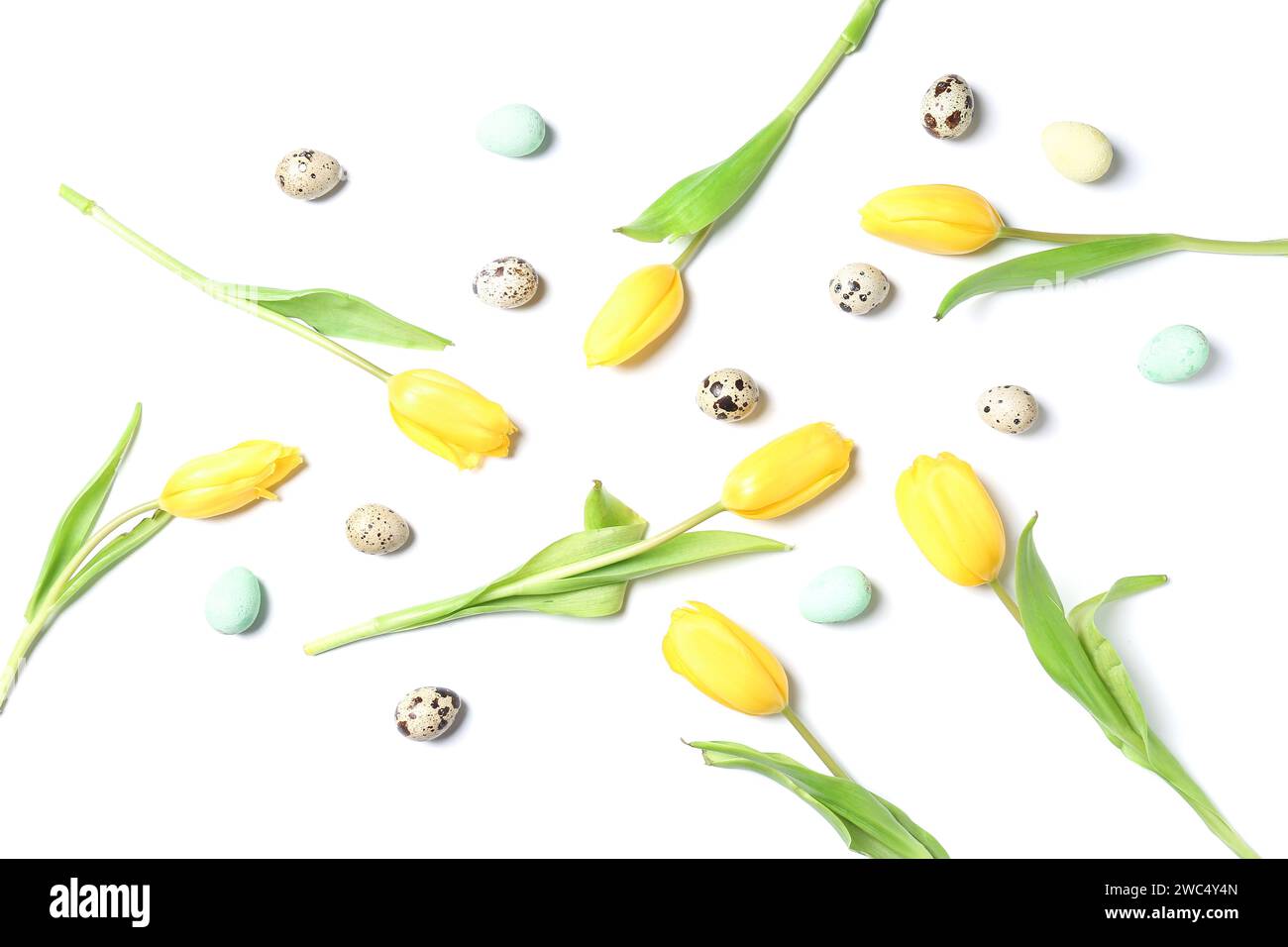 Composition with Easter eggs and tulip flowers isolated on white ...