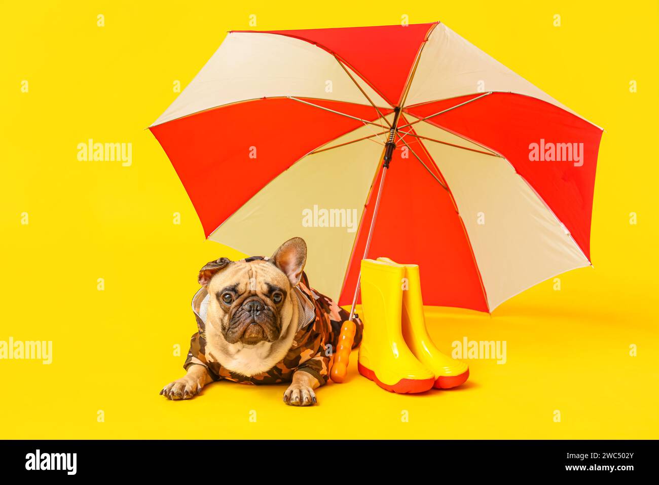 Pug Umbrella - Red Pug Umbrella - Red