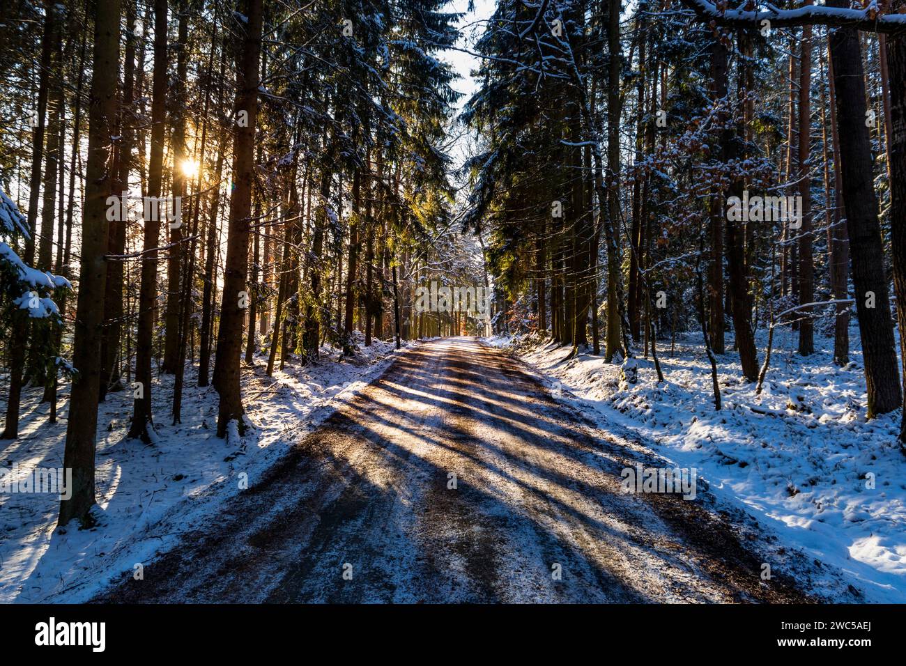 Small country road in winter with sunshine on trees Stock Photo - Alamy