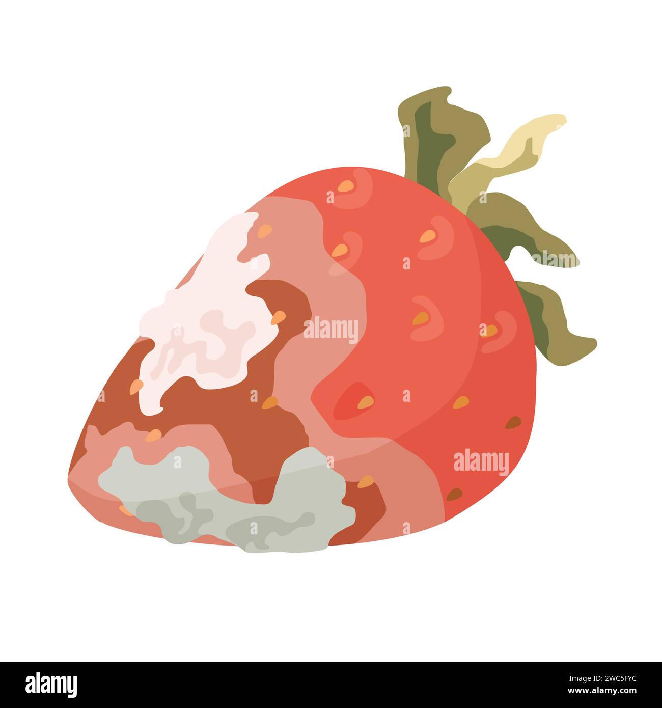 Spoiled strawberry fruit. Rotten food product, organic food waste cartoon vector illustration Stock Vector