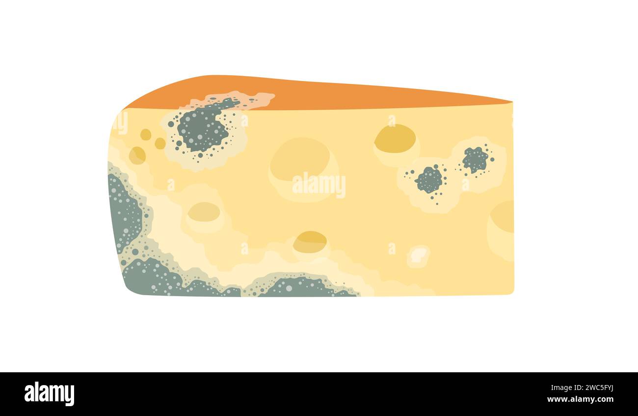 Spoiled cheese slice. Rotten food product, organic food waste cartoon