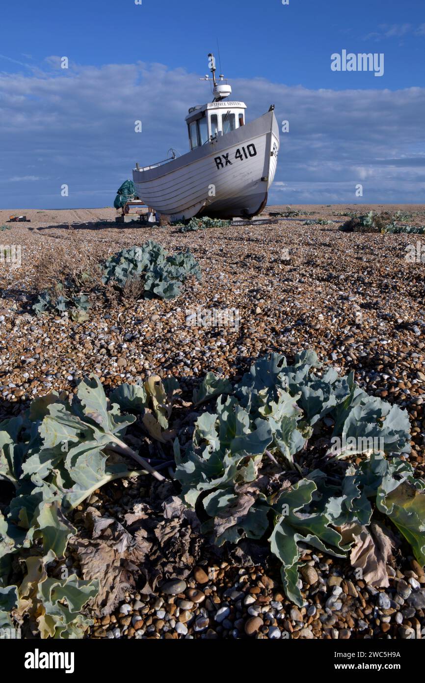 inshore fishing boat pulled up on shingle beach at dungeness kent england Stock Photo