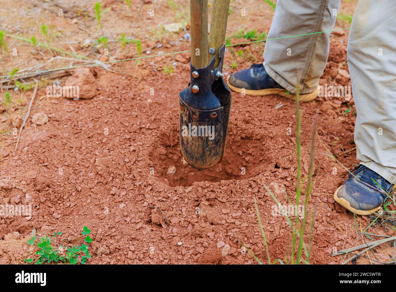 An individual using hand post hole digger to dig fence post Stock Photo