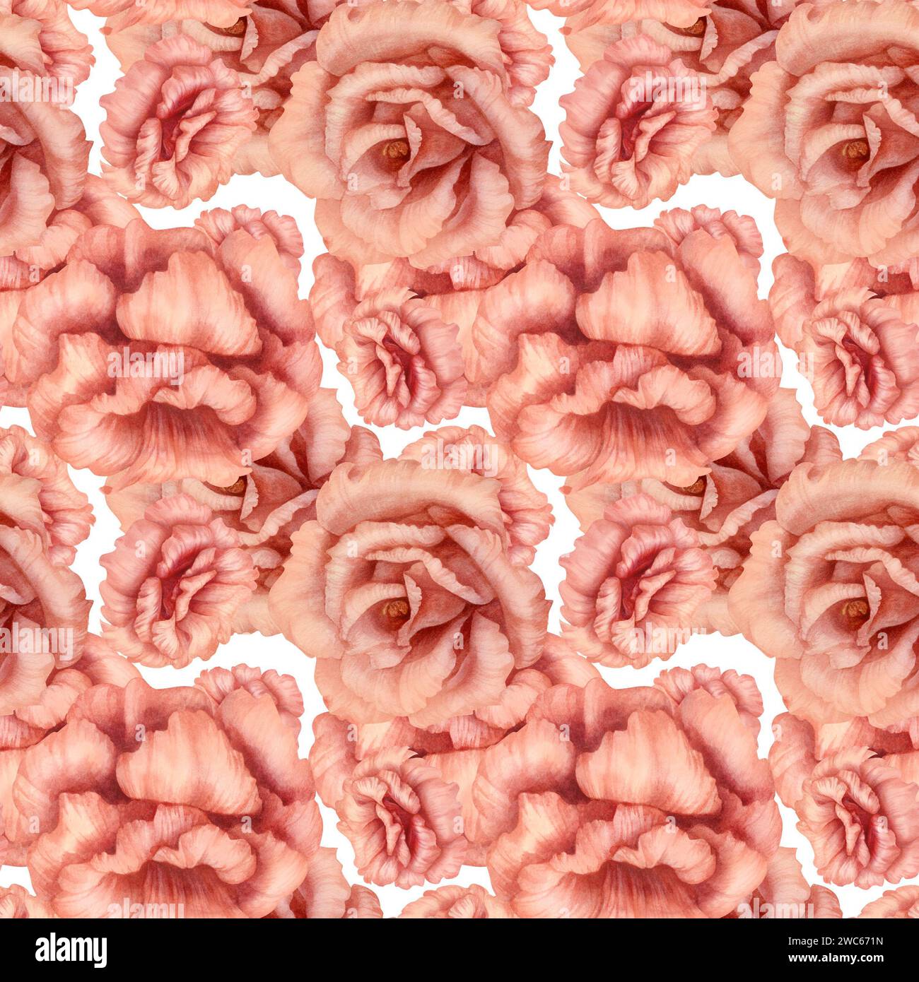 Watercolor pink seamless pattern with eustoma flowers, in trendy peach ...