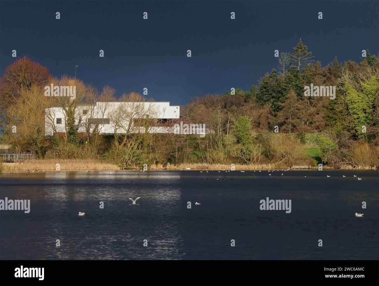 Lurgan Park, Lurgan, County Armagh, Northern Ireland, UK. 14th Jan 2024. UK weather - a cold Sunday morning with sunshine and showers at Lurgan Park. Winter sunshine reflecting back of Lurgan Golf Club clubhouse with a background of dark clouds above the park lake. Credit: CAZIMB/Alamy Live News. Stock Photo