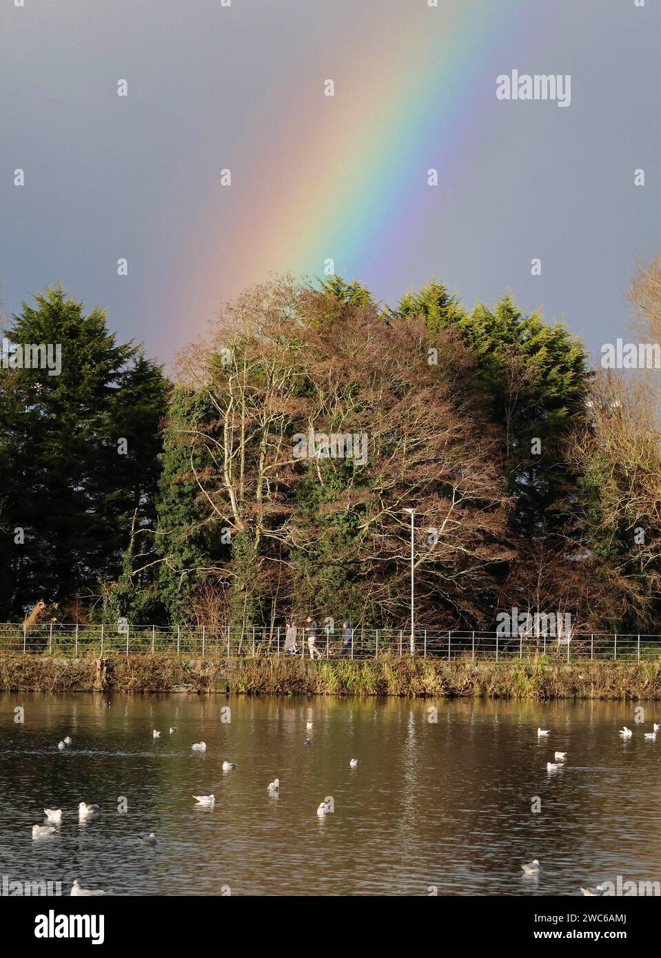 Lurgan Park, Lurgan, County Armagh, Northern Ireland, UK. 14th Jan 2024. UK weather - a cold Sunday morning with sunshine and showers at Lurgan Park. A rainbow over the park lake. Credit: CAZIMB/Alamy Live News. Stock Photo