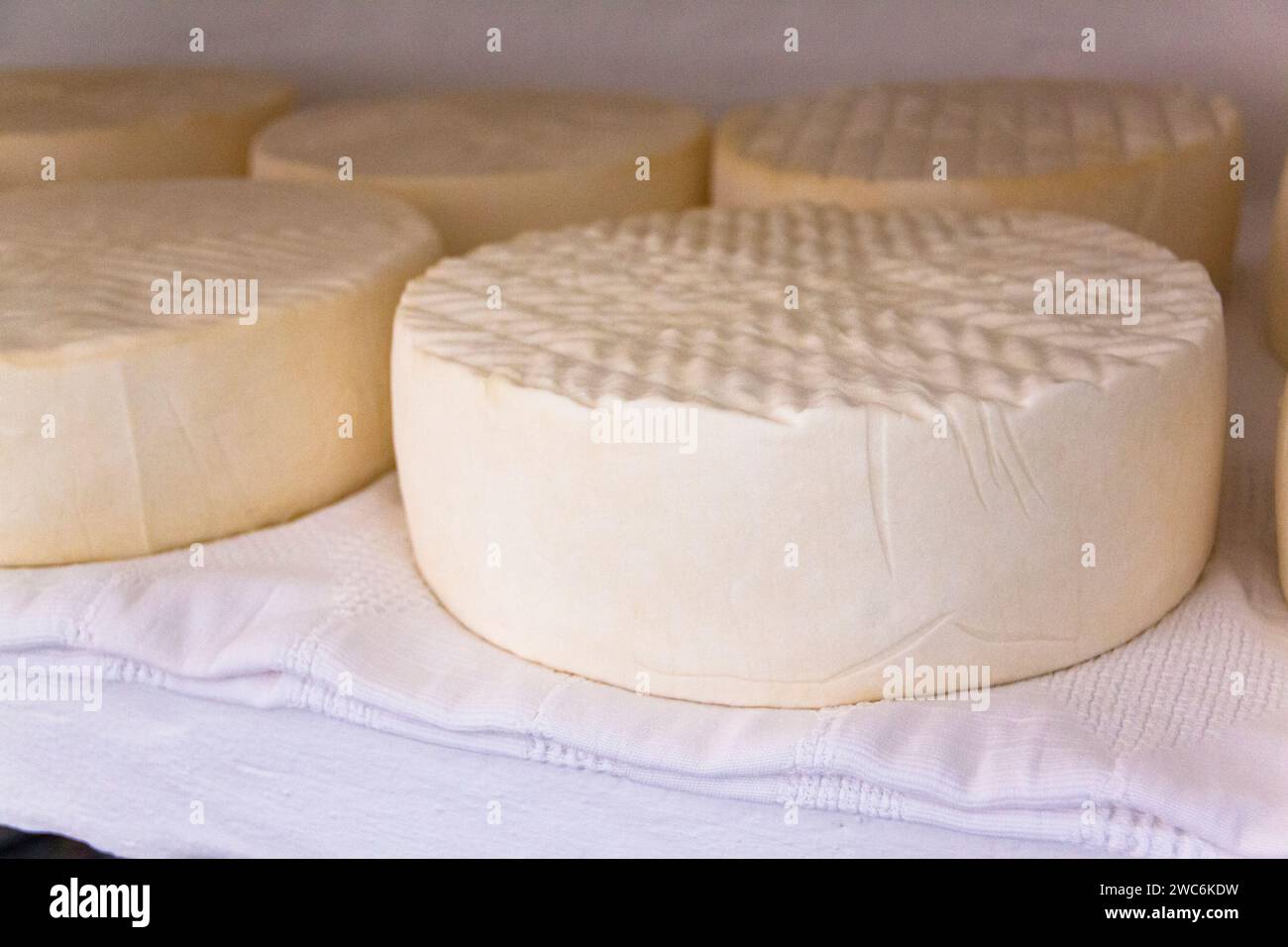 Curing cheese from the Las Mesas Cheese Factory in Gran Canaria Stock Photo