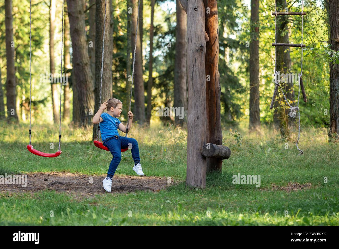 A cute little boy is photographed in profile sitting on a high rope swing with red seats in a pine forest. Stock Photo