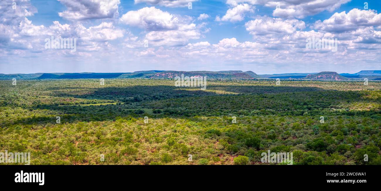 aerial view of typical african landscape, bushveld with acacia trees and mountains range Stock Photo