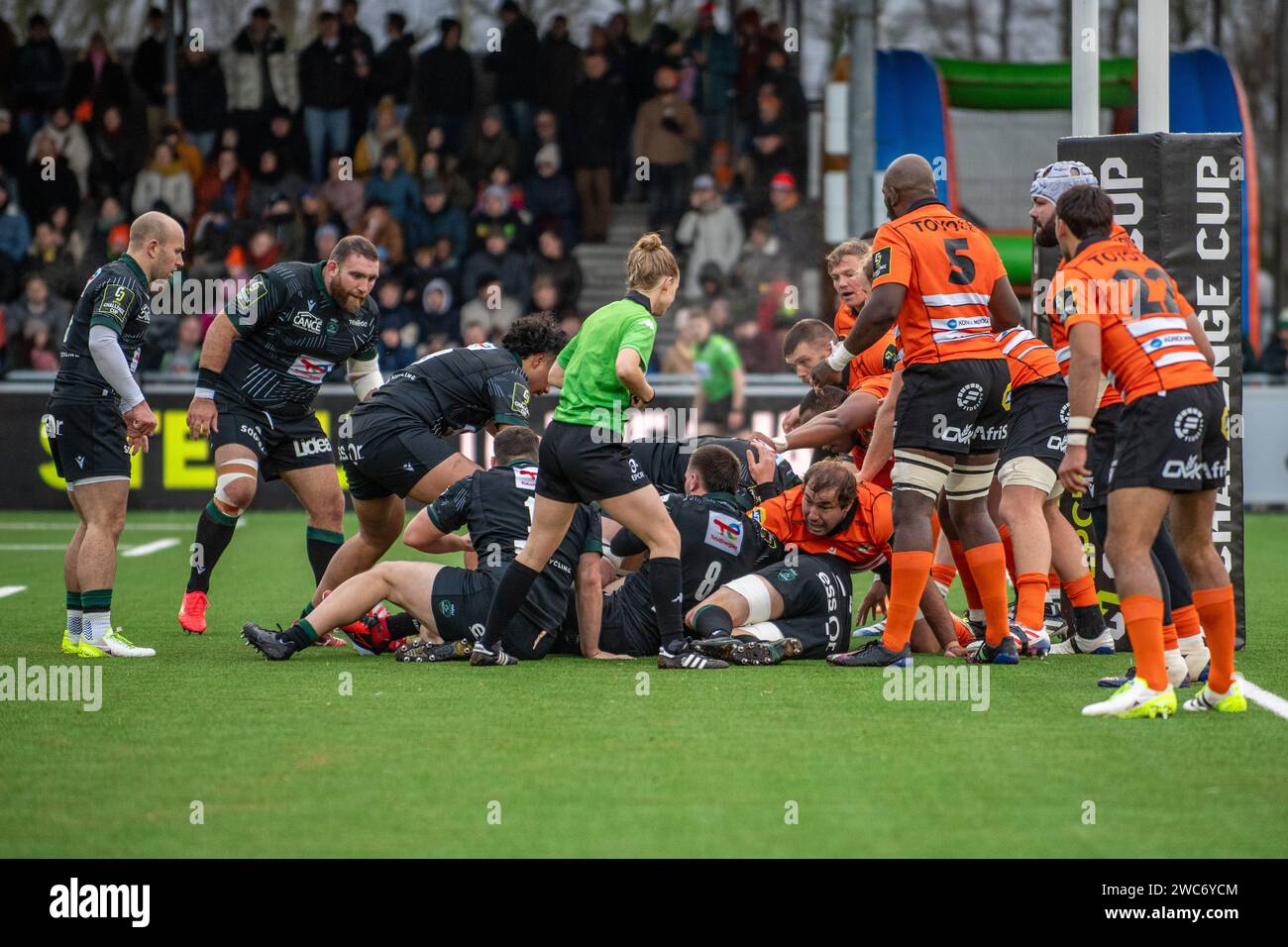 Beautiful Cheetahs V Ulster: Challenge Cup Game Called Off In The Netherlands Landscape for Mobile Beautiful Cheetahs V Ulster: Challenge Cup Game Called Off In The Netherlands Landscape for Mobile