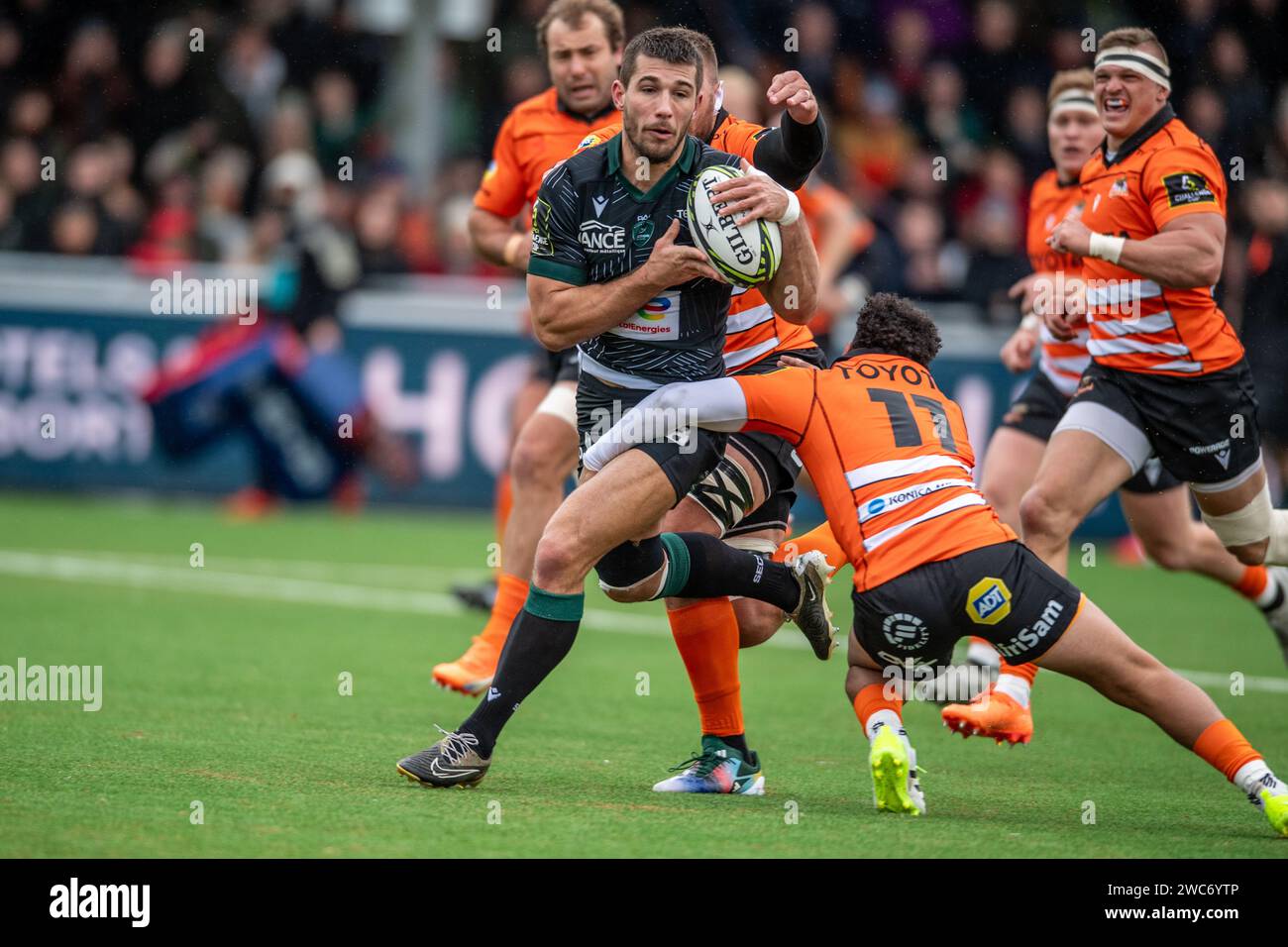 Crisp Cheetahs V Ulster: Challenge Cup Game Called Off In The Netherlands Design Photography Crisp Cheetahs V Ulster: Challenge Cup Game Called Off In The Netherlands Design Photography