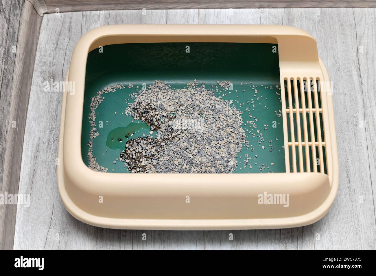 cat peed in the cat litter box. wet cat litter. puddle of urine in the