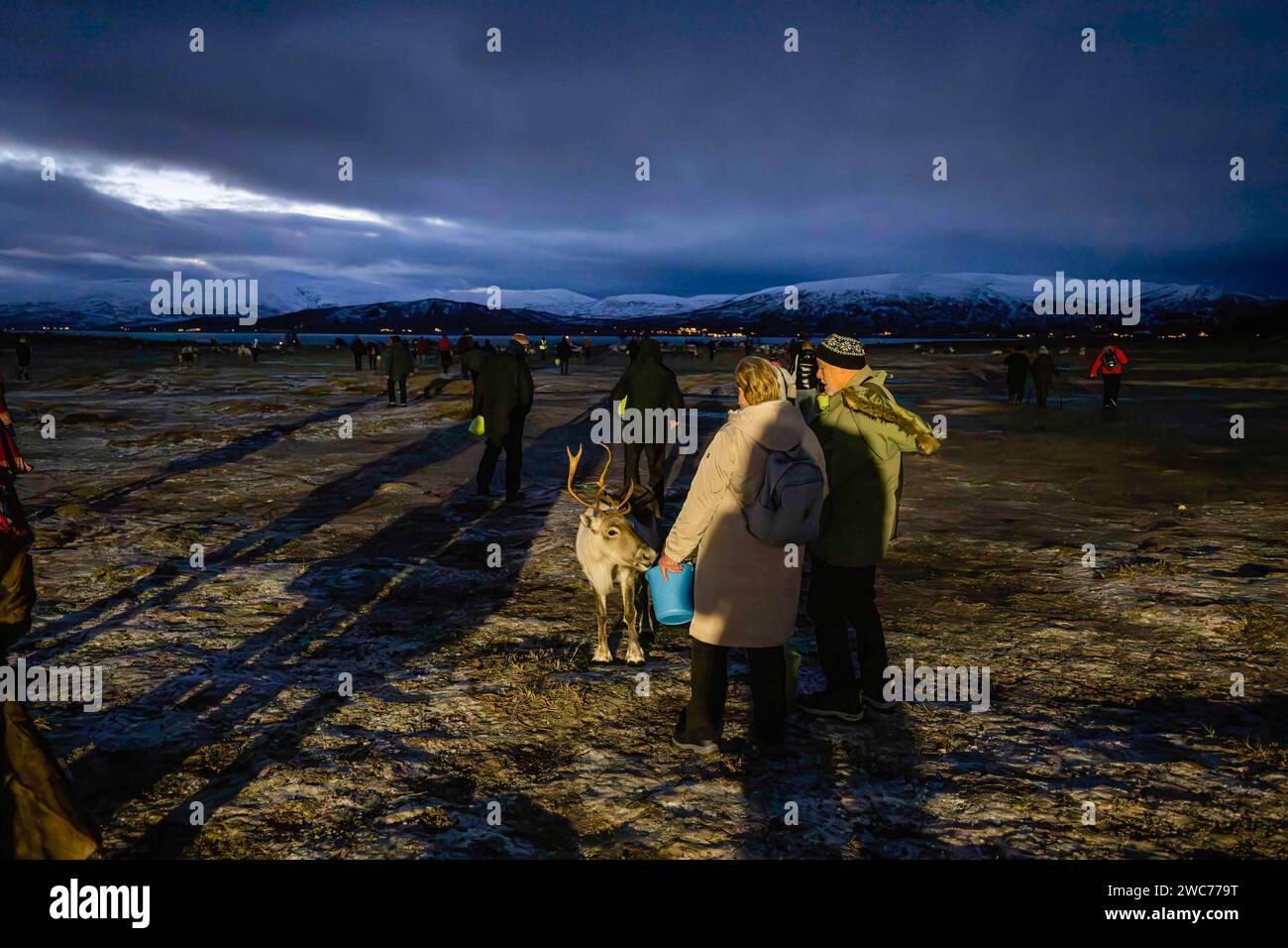 Solheim, Troms Og Finnmark, Norway. 9th Jan, 2024. Several people feed ...