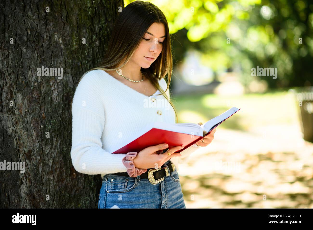 Female student reading a book outdoor in the park near a tree Stock Photo