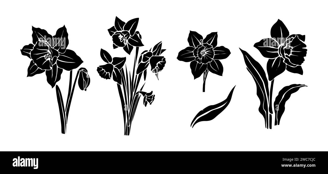 Set of black silhouettes of Daffodil flowers. Stock Vector