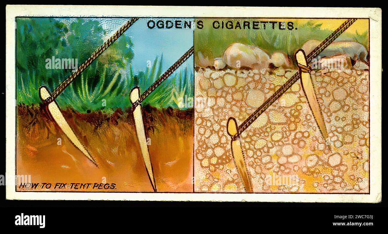 How to Fix Tent Pegs Vintage Cigarette Card Illustration Stock Photo