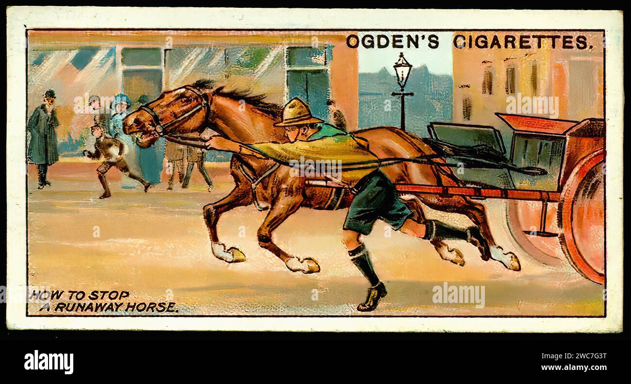 Vintage Cigarette Card How to Stop a Runaway Horse Illustration Stock Photo Alamy