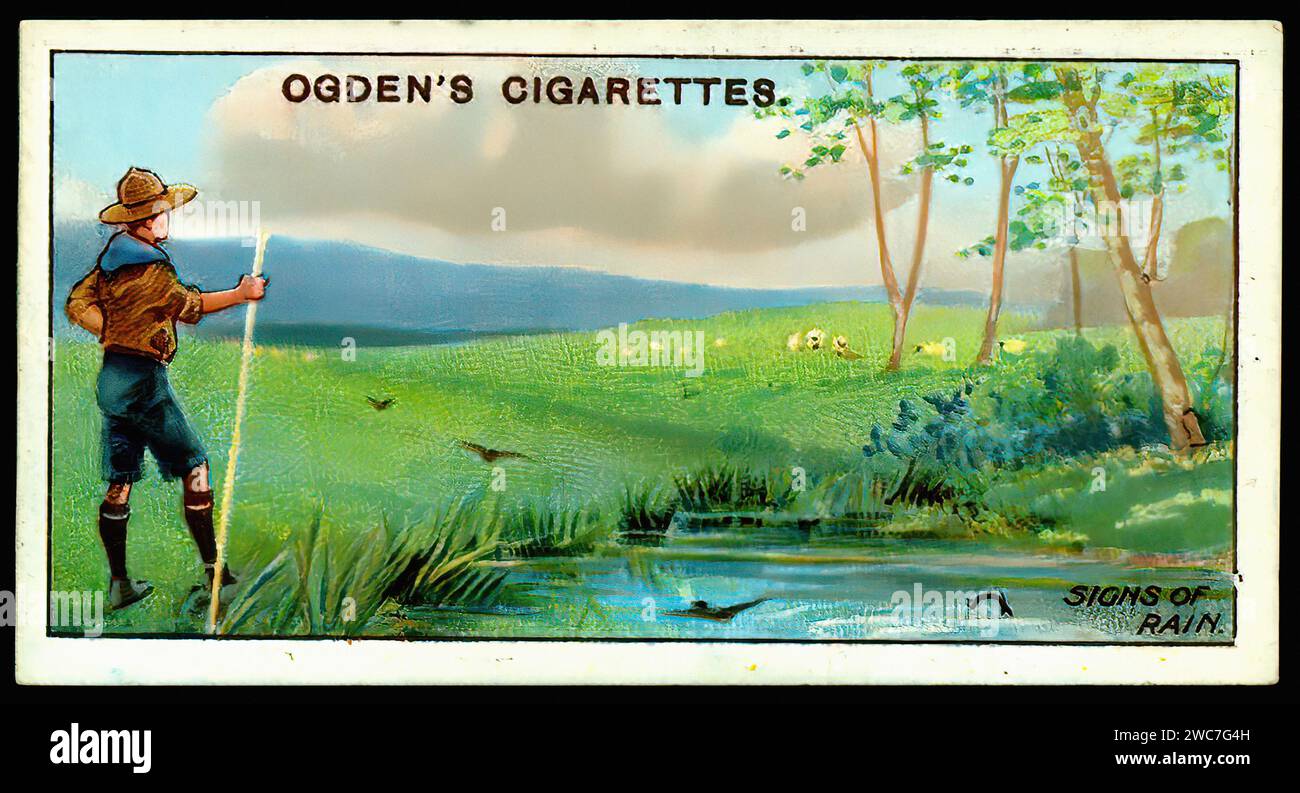 Vintage Cigarette Card - Boy Scouts, Weather Signs Illustration Stock Photo