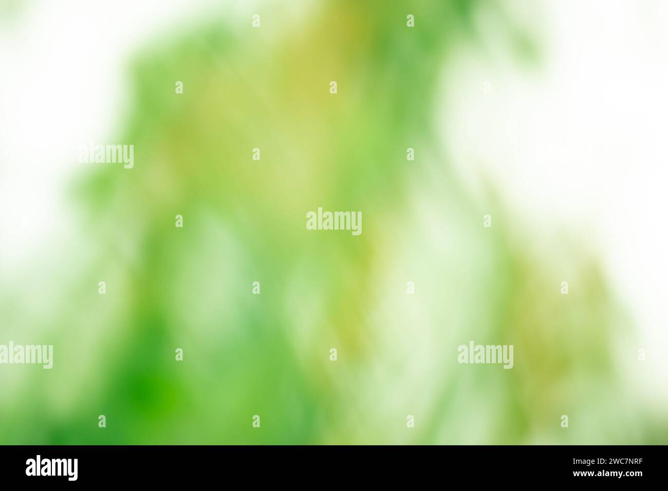 Colorful watercolor beautiful abstract blurred design background. Blurred watercolor fluid vivid multicolor vibrant bokeh wallpaper. Stock Photo
