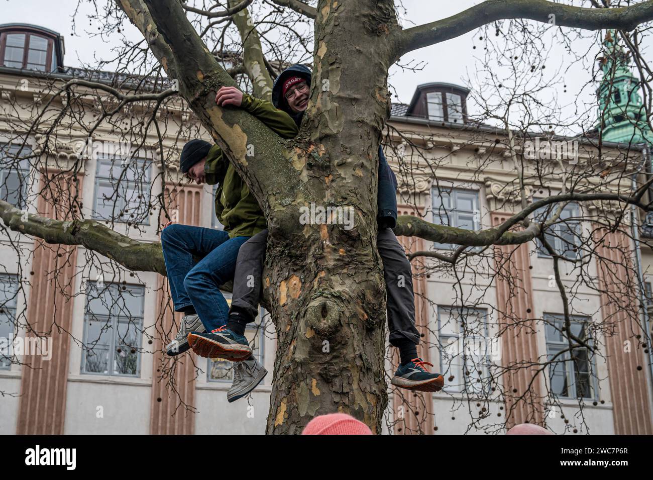 Copenhagen, Denmark. 14th Jan, 2024. Two boys climbing a tree to watch the proclamation at Christiansborg Palace. Credeit: Stig Alenäs/Alamy Live news Stock Photo