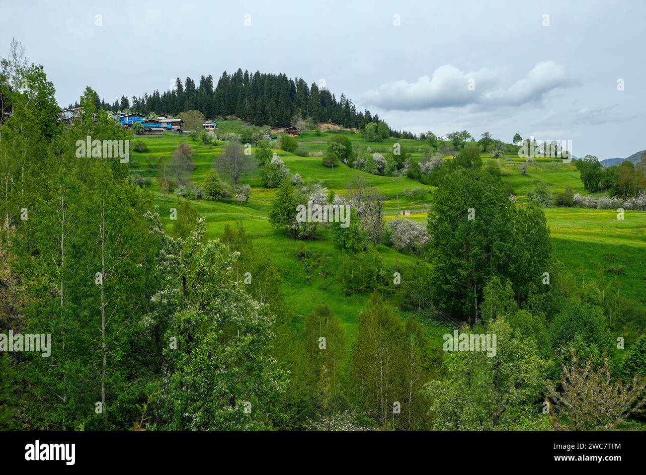 A typical village settlement with traditional houses in Şavşat district of Artvin province. Stock Photo