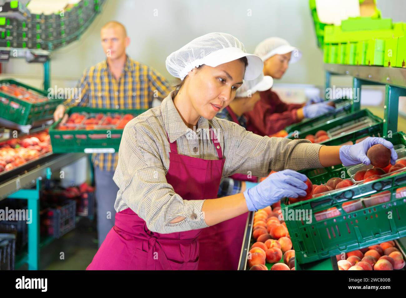 Female and male workers packaging peaches Stock Photo - Alamy