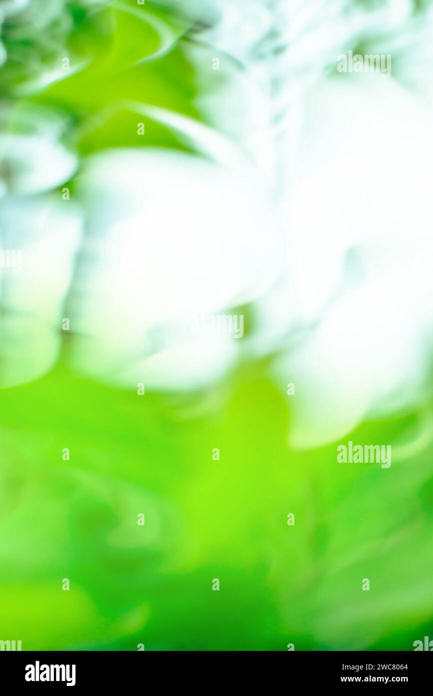 Green abstract multi colored light trail vortex. Fresh green lights moving in circular pattern. Stock Photo