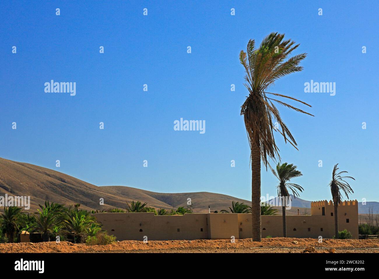 Large country house with castle style walls and palm trees, El Cotillo, Fuerteventura, November 2023 Stock Photo