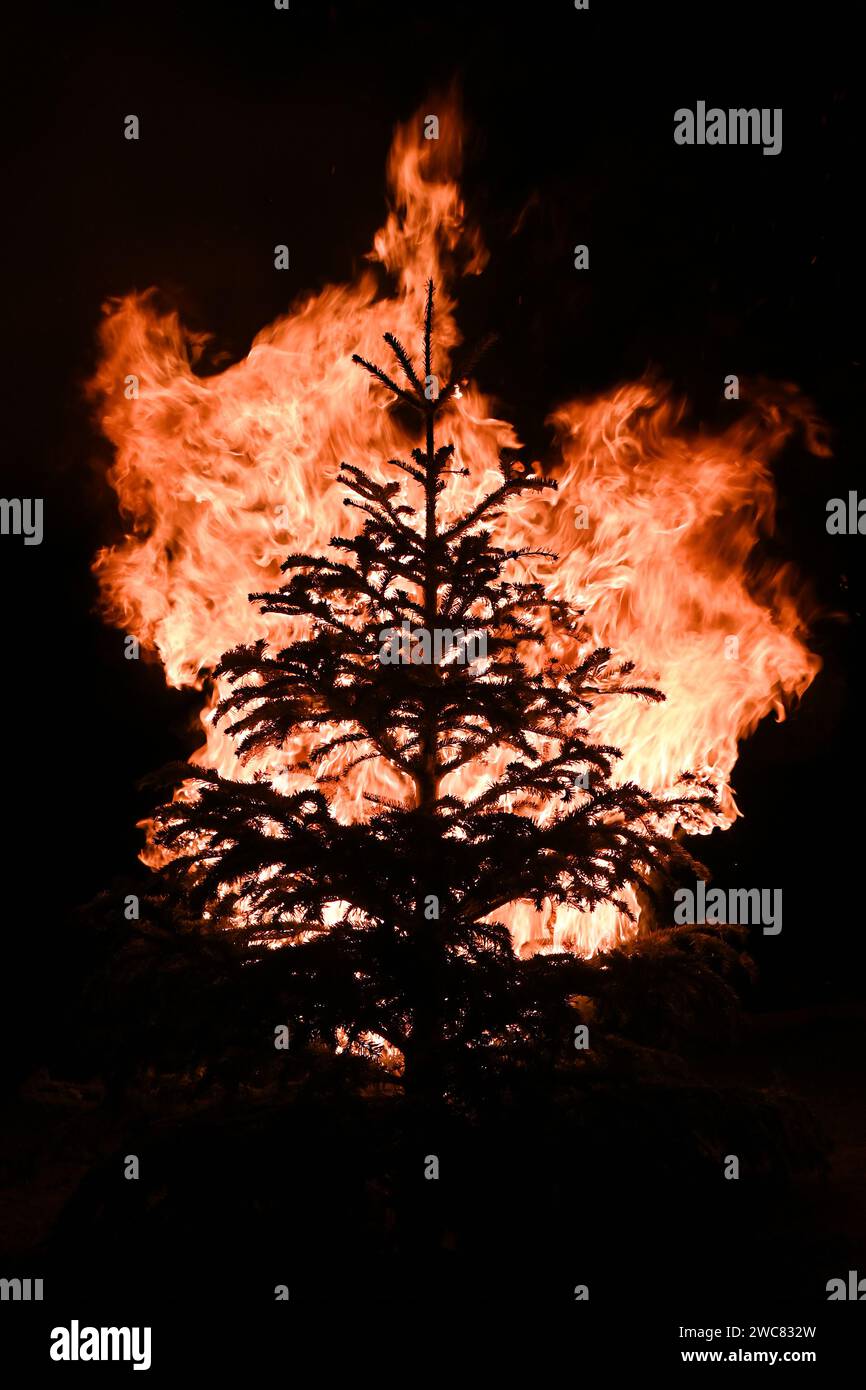 Silhouette of Christmas tree engulfed in flames against dark night in January Stock Photo