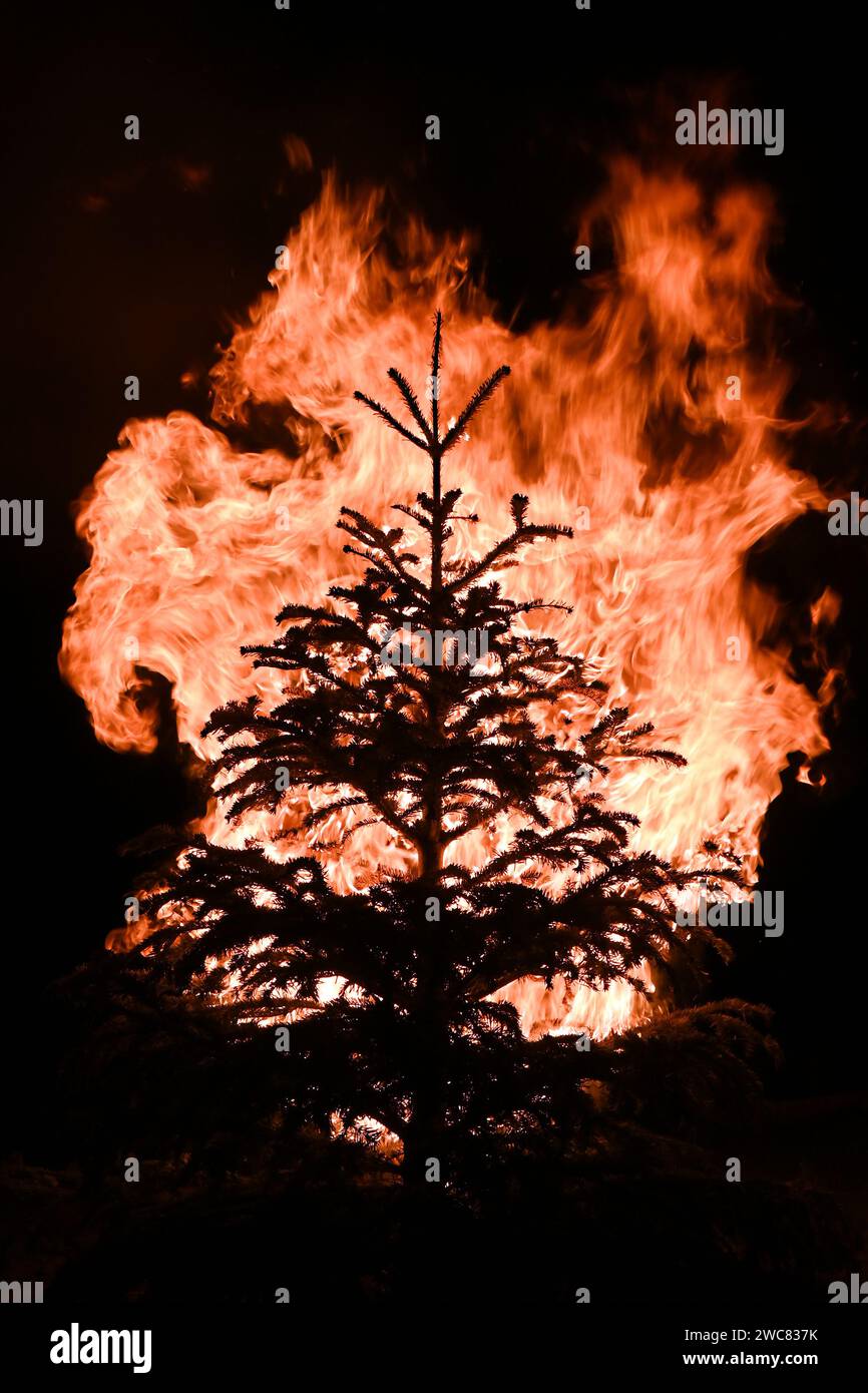 Silhouette of Christmas tree engulfed in flames against dark night in January Stock Photo