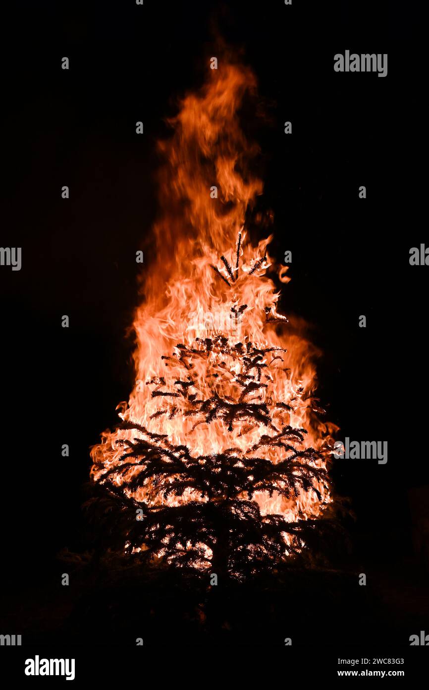 Silhouette of Christmas tree engulfed in flames against dark night in January Stock Photo