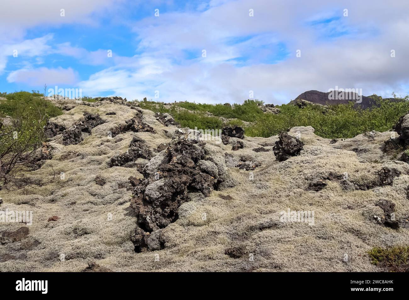 View of the lava fields of a past volcanic eruption in Iceland Stock Photo
