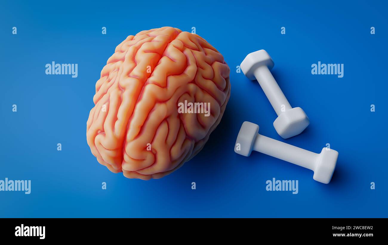 Concept of improving brain function through training or exercise to improve brain function,3d rendering Stock Photo