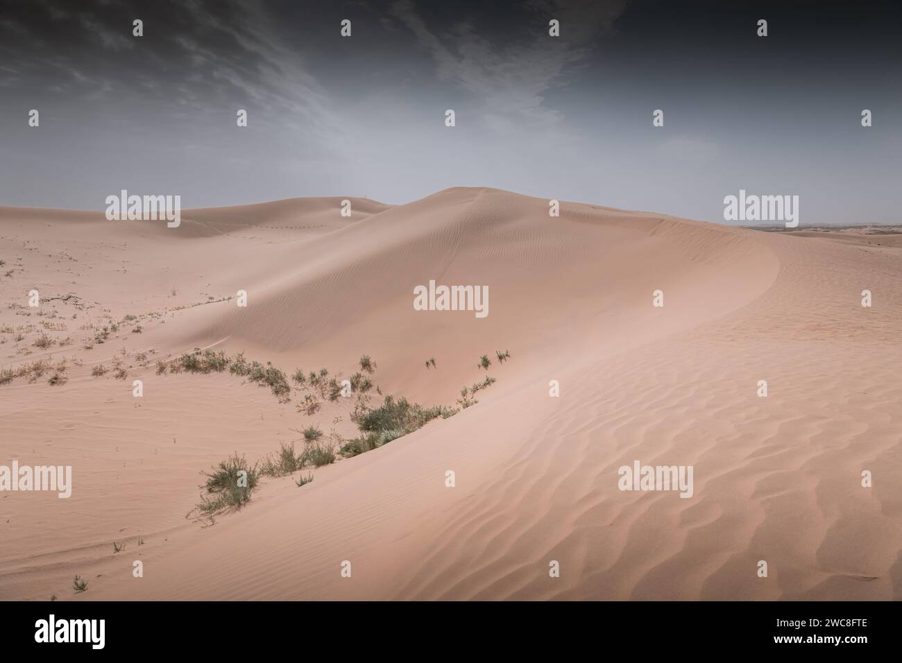 Sand dunes in the Gobi Desert in Inner Mongolia, China. Sandy desert ...