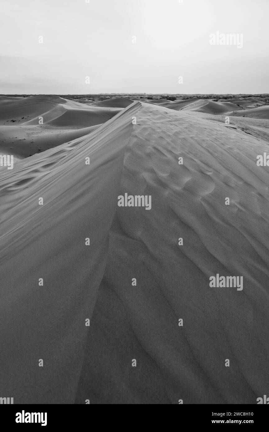 Close up background on the desert sand in Inner Mongolia, China. Golden sand wallpaper with copy space for text, black and white Stock Photo