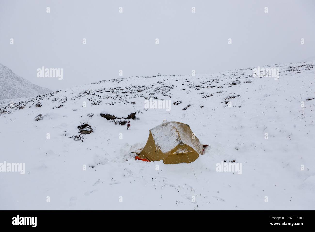 Camping in the snow hi-res stock photography and images - Alamy