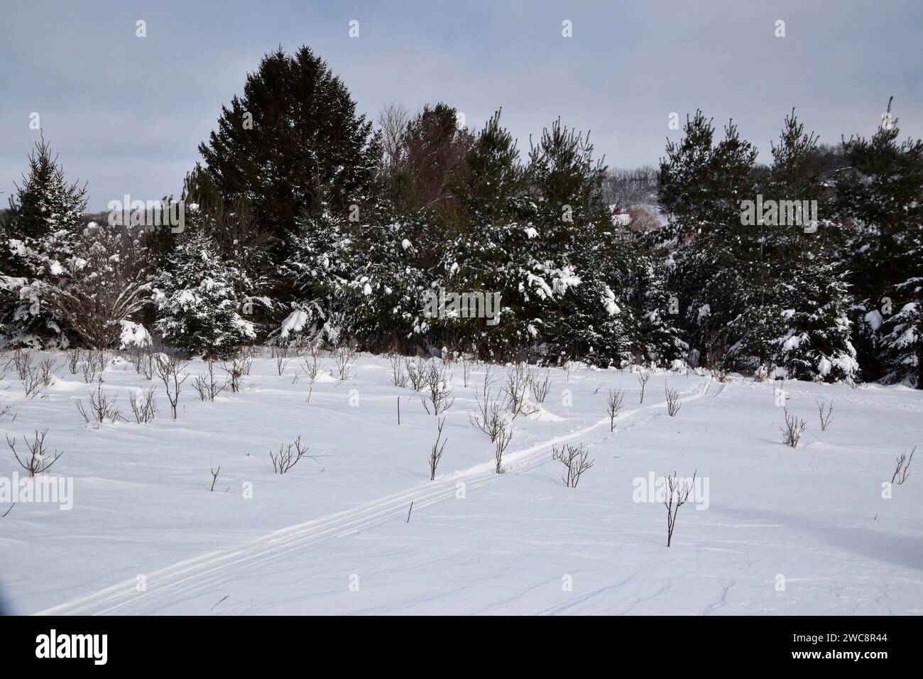Water snow trees shadows hi-res stock photography and images - Alamy