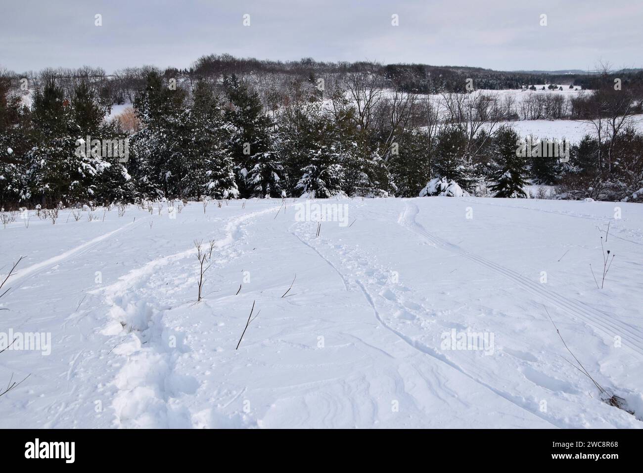 Water snow trees shadows hi-res stock photography and images - Alamy