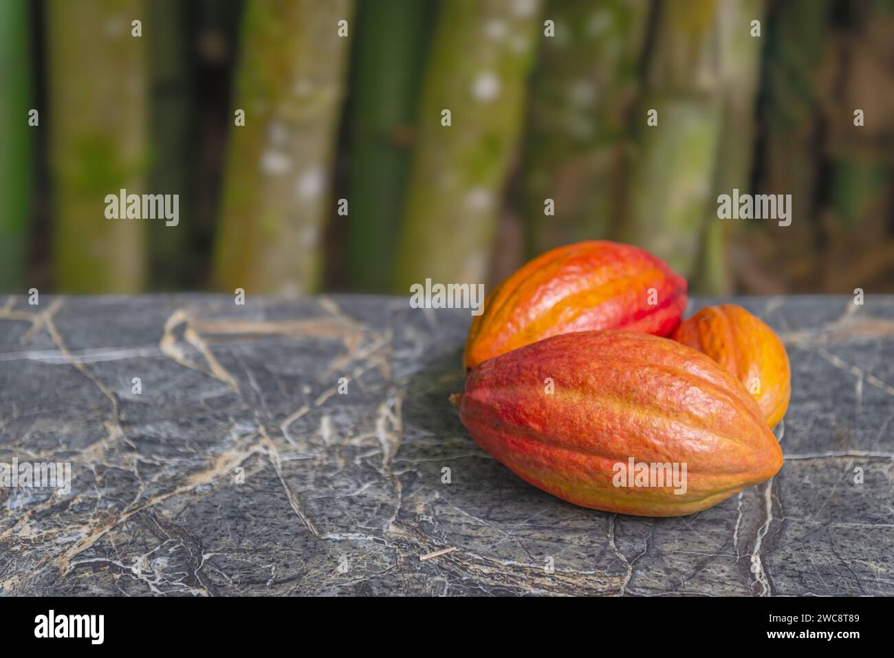 Cocoa pods still life close up whole organic marble top bamboos in background Stock Photo